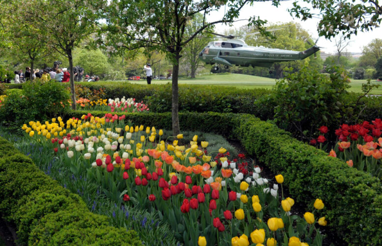 How the White House Rose Garden and its plantings have changed over the past century